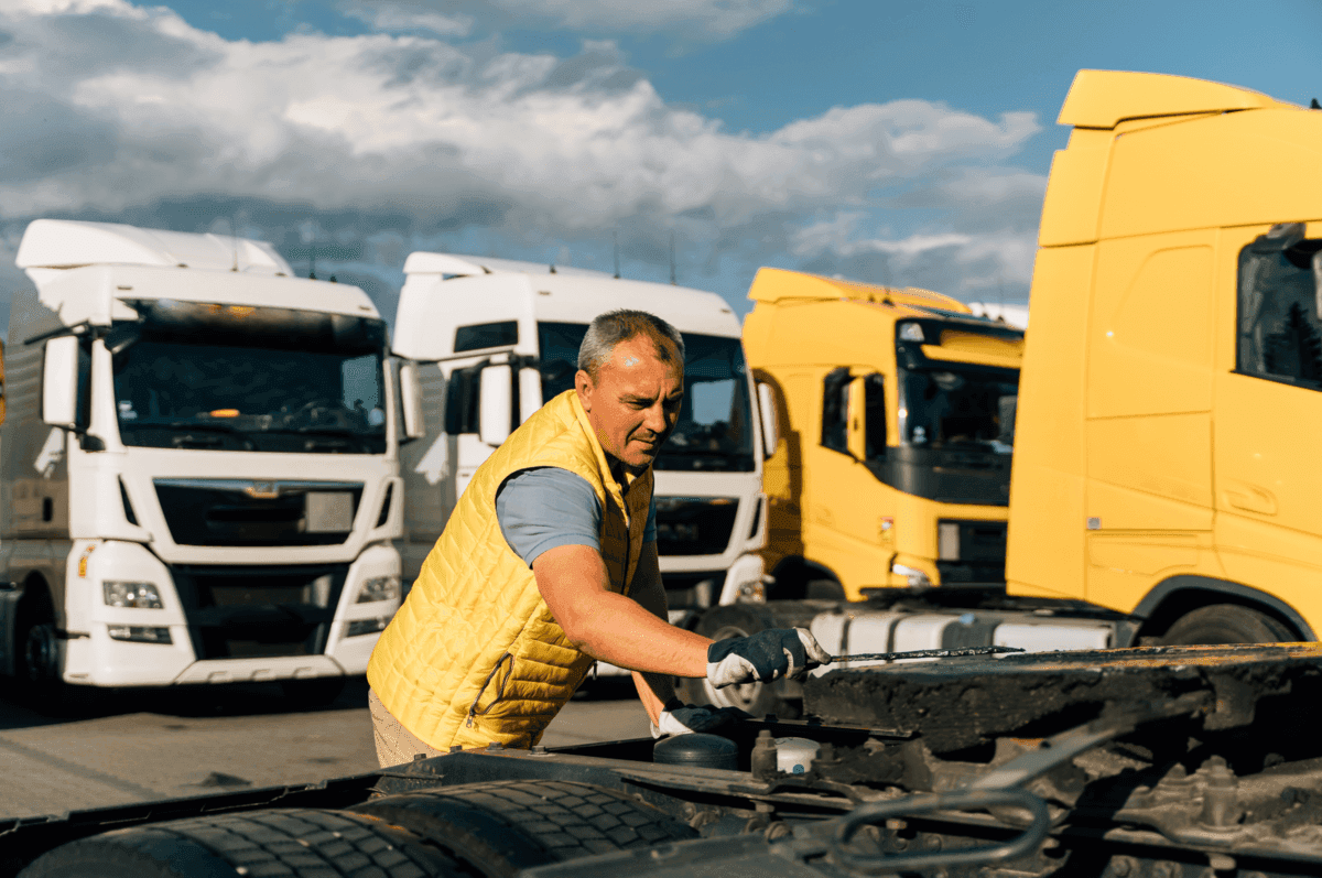 Fleet vehicle maintenance at Motorsector
